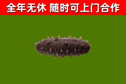 播州区烟酒回收干海参.jpg